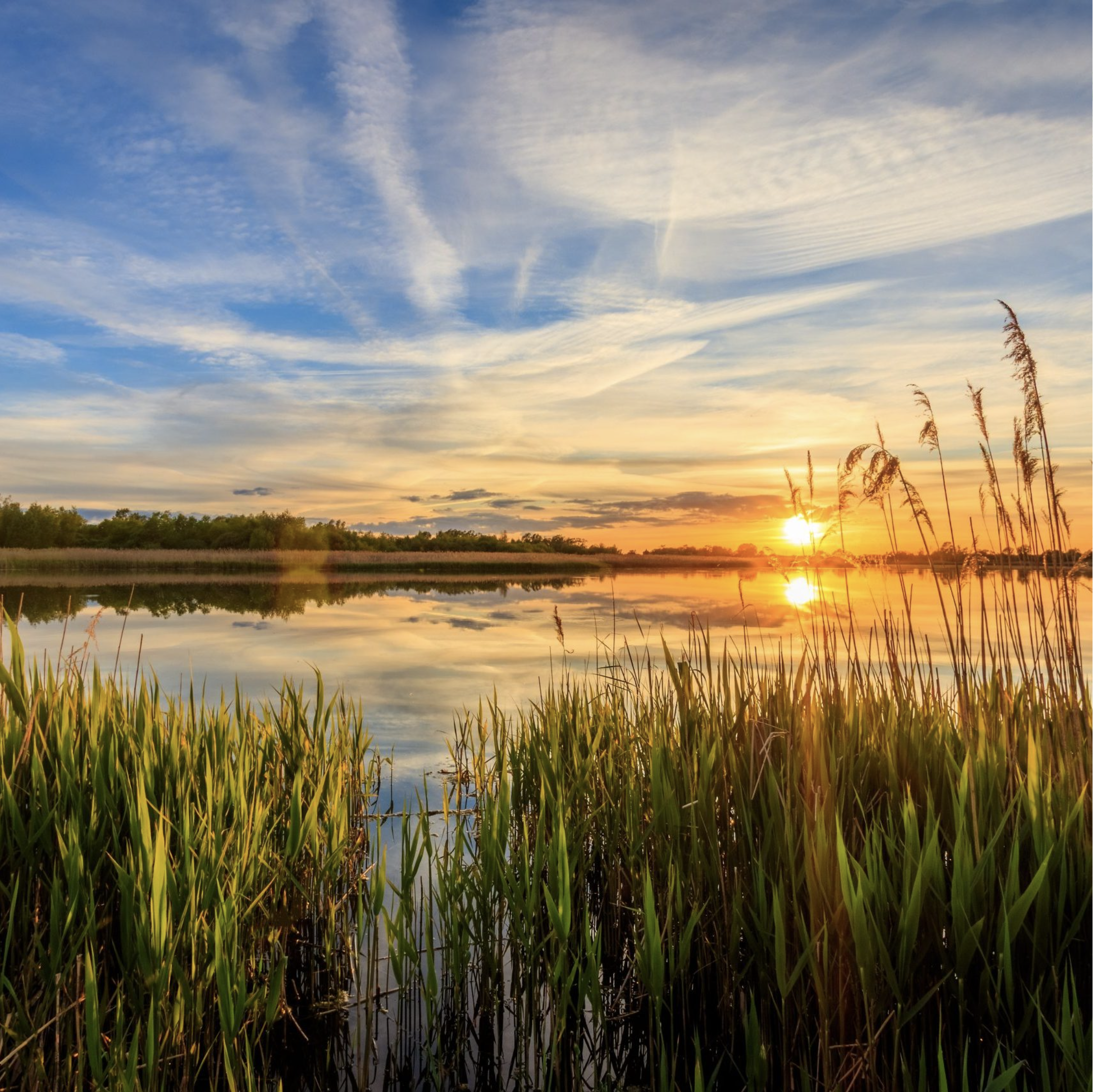 ponds, cat tails, sunset, waterfront living